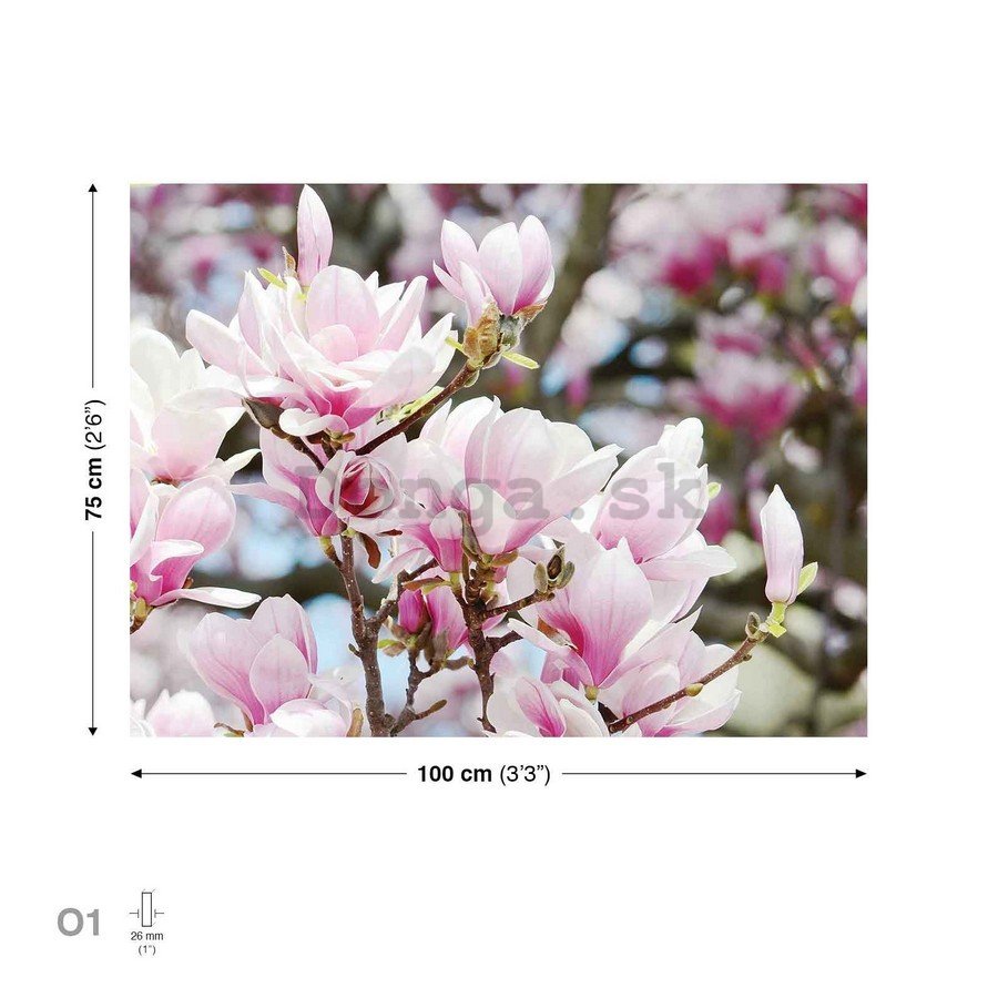 Obraz na plátne: Ružové kvety - 75x100 cm