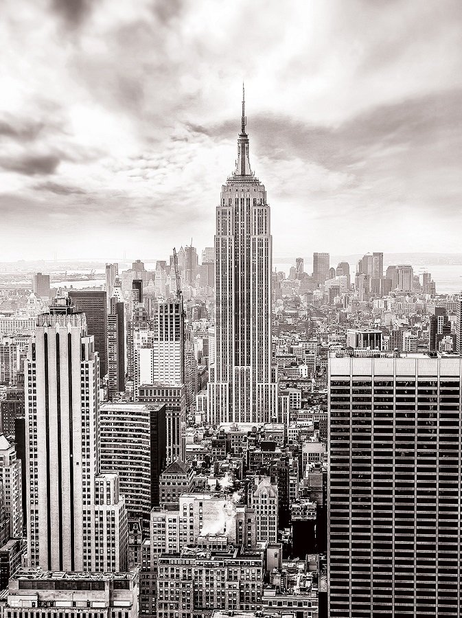 Fototapeta: Pohľad na New York (čiernobiela) - 254x184 cm