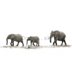 Obraz na plátne - Mario Moreno, The Elephants