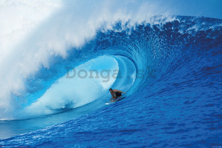 Plagát - Surfing (2)