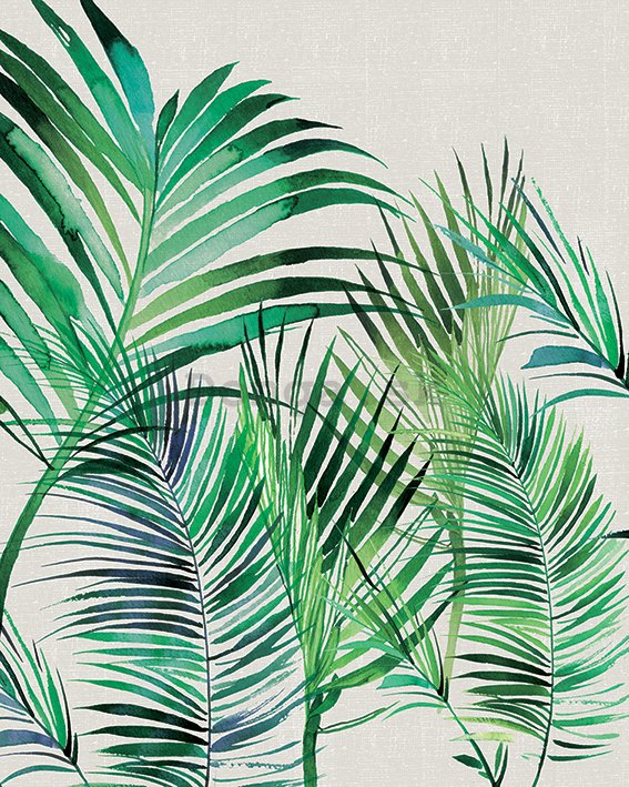 Obraz na plátne - Summer Thornton, Palm Leaves