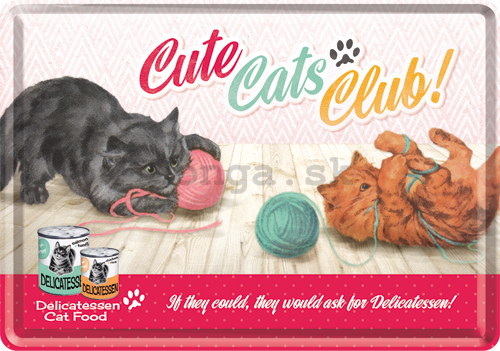 Plechová pohľadnice - Cute Cats Club!