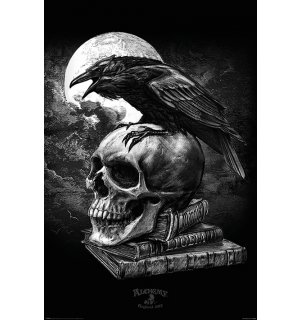 Plagát - Alchemy (Poe's Raven)