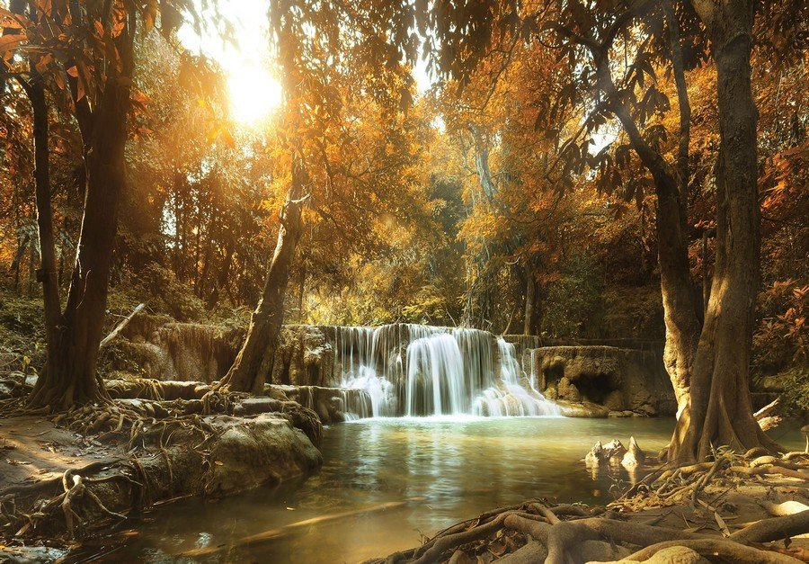 Fototapeta vliesová: Vodopády v lese (1) - 254x368 cm