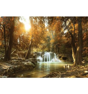 Fototapeta vliesová: Vodopády v lese (1) - 104x152,5 cm