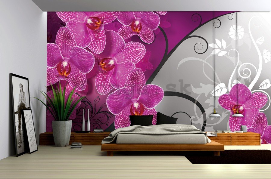 Fototapeta vliesová: Orchidey (3) - 254x368 cm