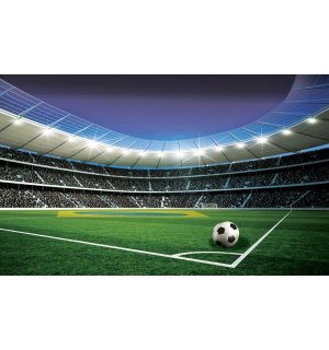 Fototapeta vliesová: Futbalový štadión (5) - 254x368 cm