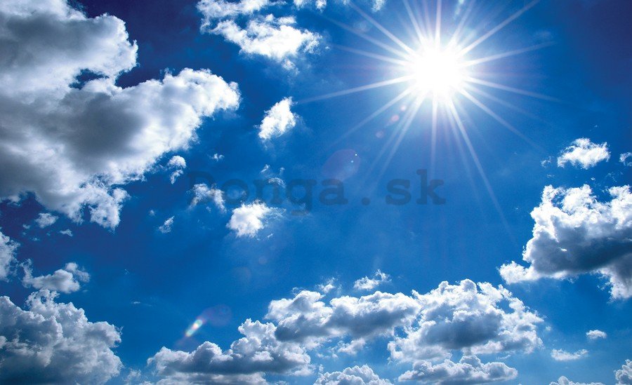 Fototapeta vliesová: Slnko na oblohe - 254x368 cm