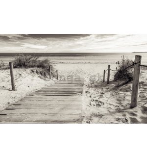 Fototapeta vliesová: Pláž (čiernobiela) - 254x368 cm