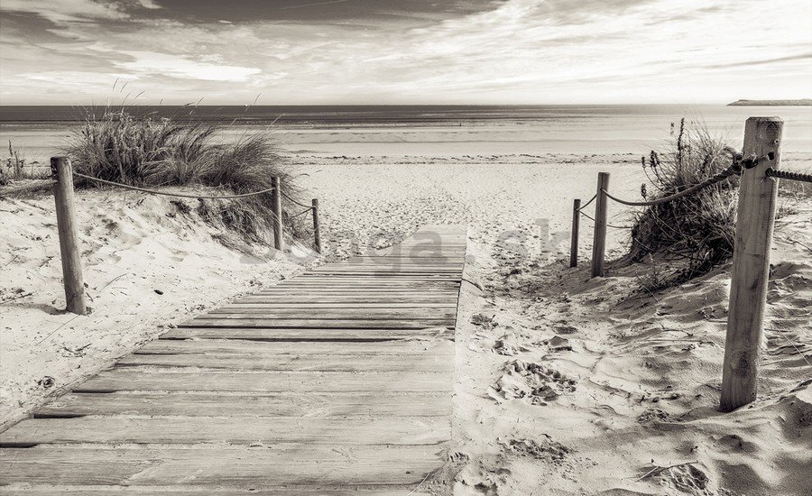 Fototapeta vliesová: Pláž (čiernobiela) - 104x152,5 cm