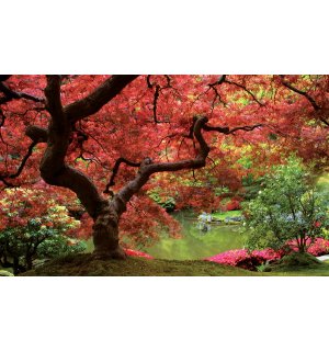 Fototapeta vliesová: Kvitnúce strom - 254x368 cm