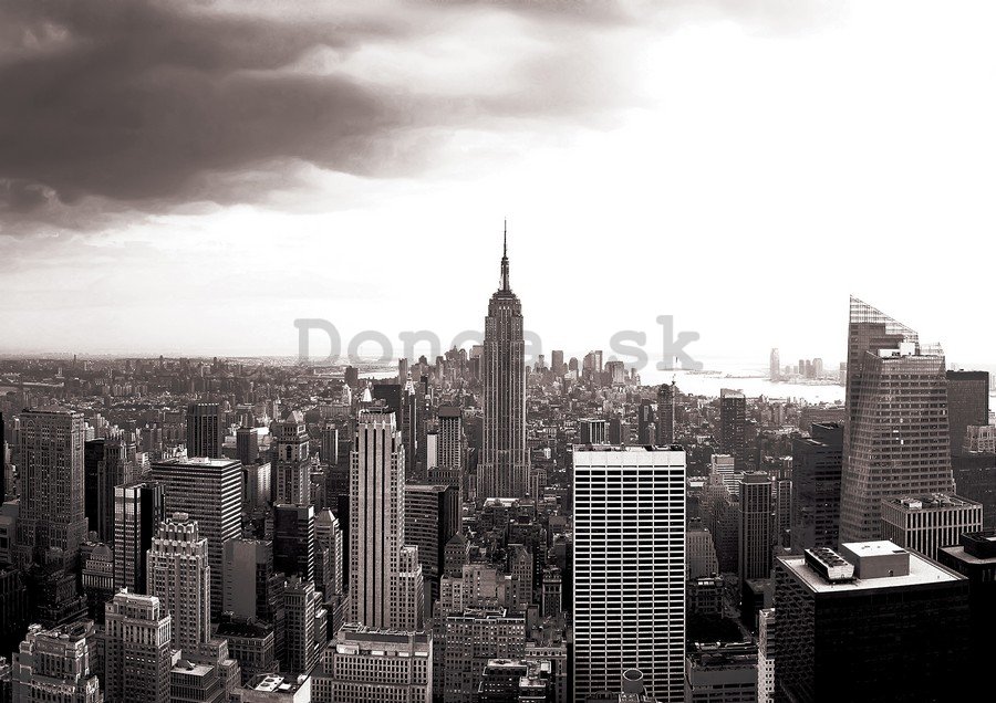 Fototapeta vliesová: Manhattan (Čiernobiela) - 254x368 cm