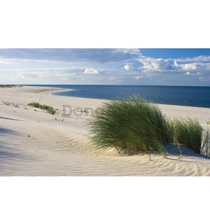 Fototapeta vliesová: Piesočná pláž (1) - 254x368 cm