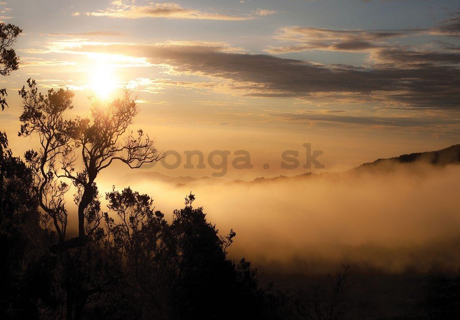 Fototapeta: Východ slnka nad hmlovým lesom - 184x254 cm