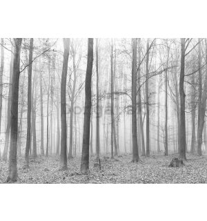 Fototapeta: Hmla v lese (2) - 184x254 cm