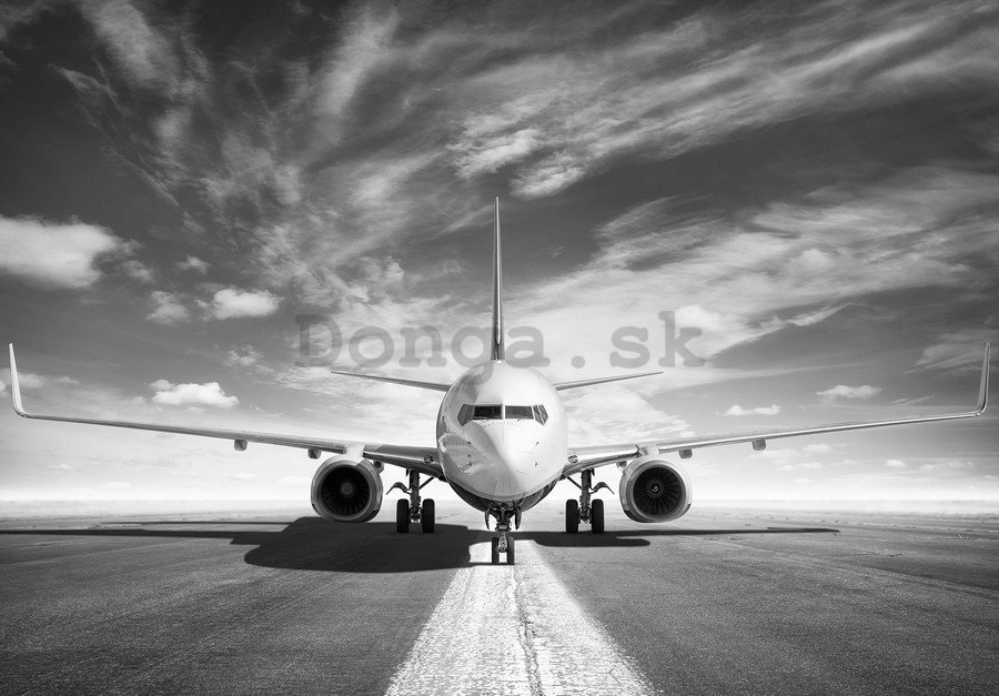 Fototapeta: Prúdové lietadlo (čiernobiele) - 184x254 cm