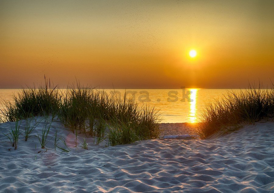 Fototapeta: Západ slnka na pláži (5) - 184x254 cm
