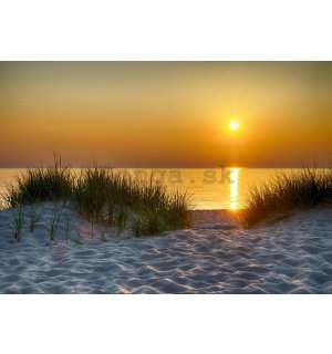Fototapeta: Západ slnka na pláži (5) - 184x254 cm