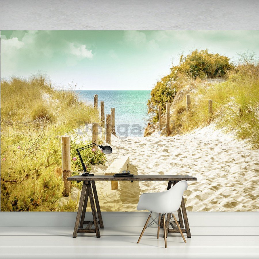 Fototapeta: Cesta na pláž (9) - 184x254 cm
