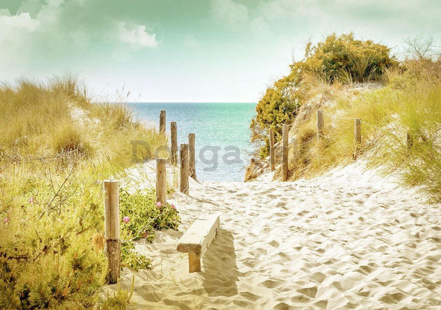 Fototapeta: Cesta na pláž (9) - 254x368 cm