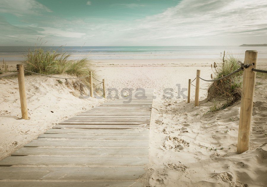 Fototapeta: Cesta na pláž (10) - 184x254 cm
