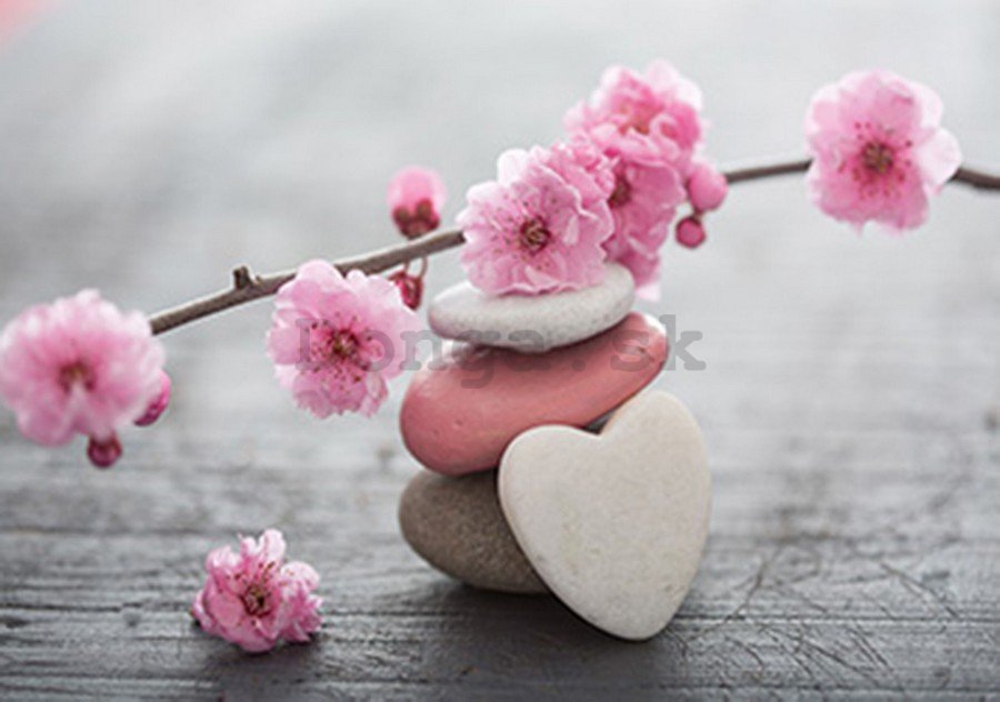 Fototapeta: Kvitnúce čerešňa a srdce - 184x254 cm