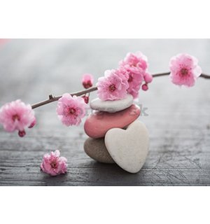 Fototapeta: Kvitnúce čerešňa a srdce - 254x368 cm