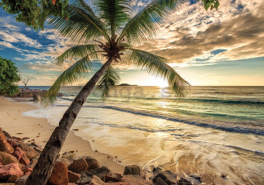 Fototapeta: Tropický raj (2) - 184x254 cm