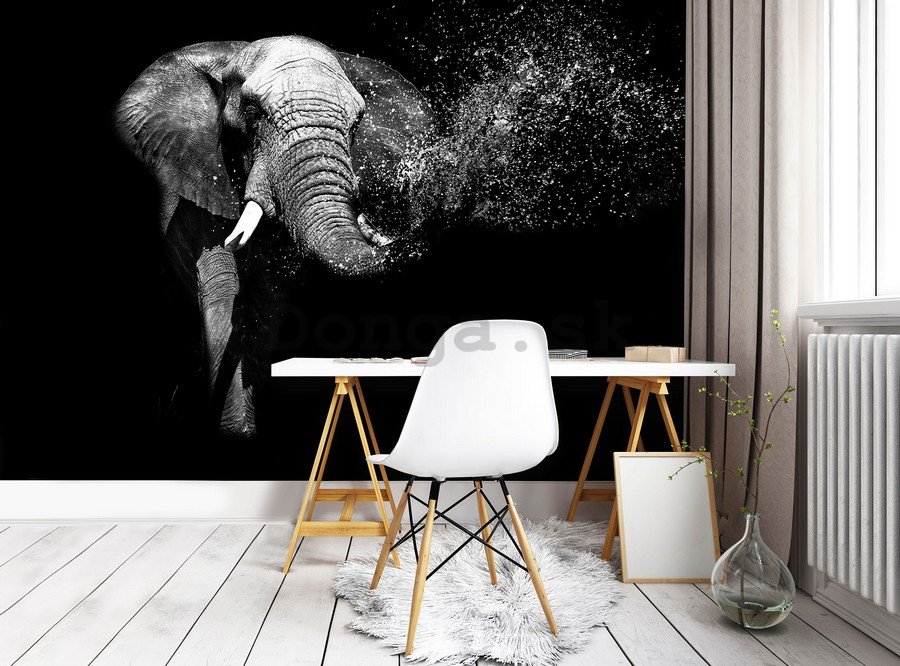 Fototapeta: Čiernobiely slon - 184x254 cm