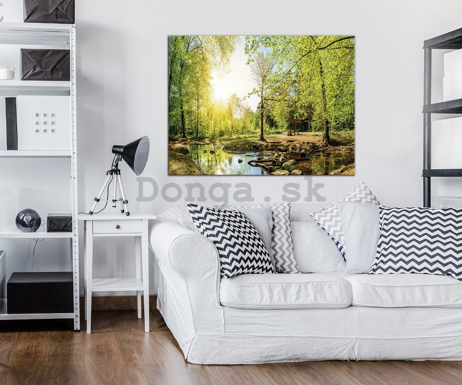 Obraz na plátne: Lesný potok (3) - 75x100 cm