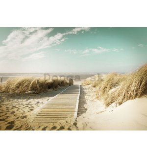 Obraz na plátne: Cesta na pláž (8) - 75x100 cm