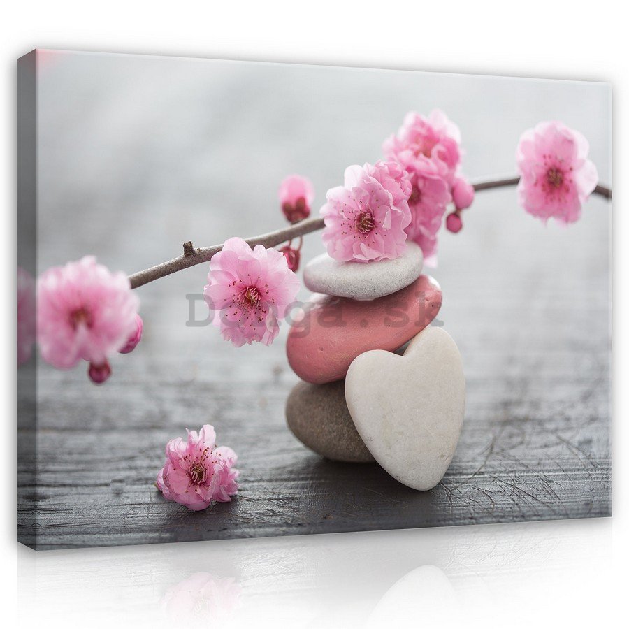 Obraz na plátne: Kvitnúce čerešňa a srdce - 75x100 cm