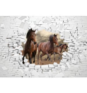 Fototapeta vliesová: Kone v stene - 184x254 cm