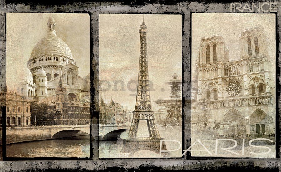 Fototapeta vliesová: Paríž (dominanty) - 184x254 cm