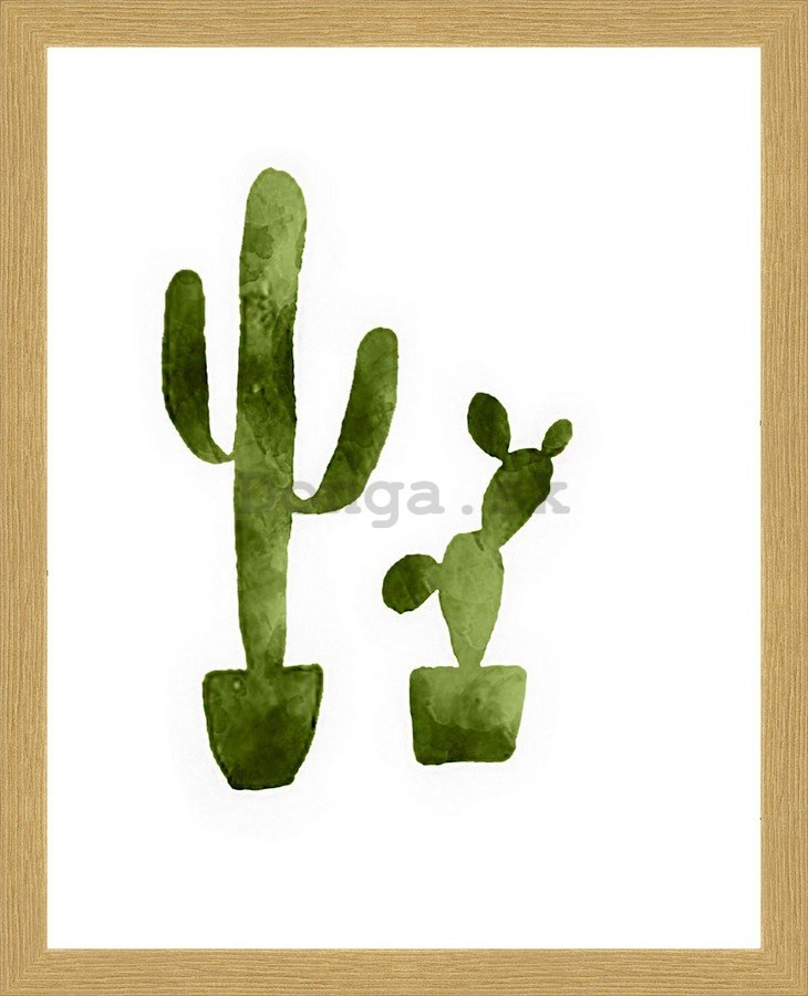 Rámovaný obraz - Kaktusy (1)