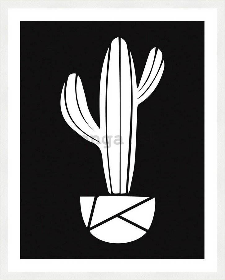 Rámovaný obraz - Kaktus (čiernobiely)