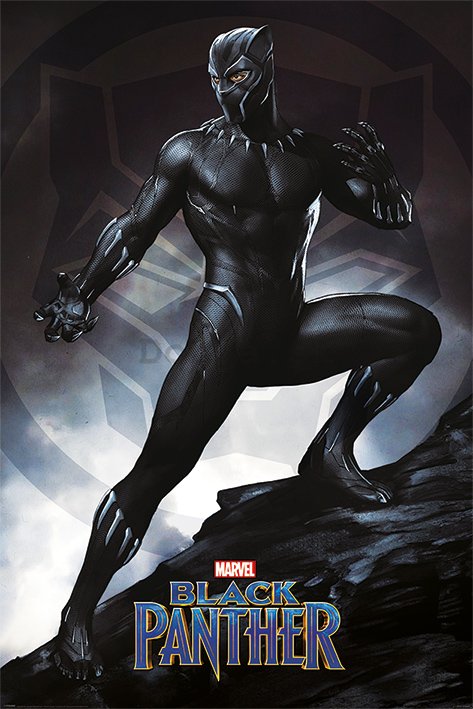 Plagát - Black Panther (Stance)