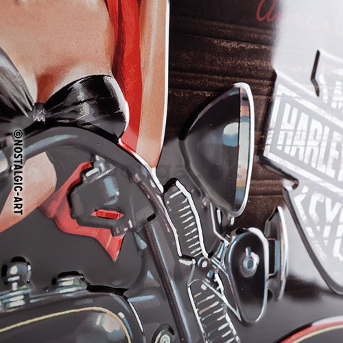 Plechová ceduľa - Harley-Davidson (Motorkárka)