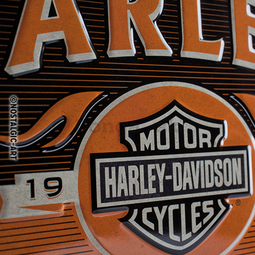 Plechová ceduľa - Harley-Davidson (Flames)