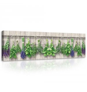 Obraz na plátne: Levanduľa a bylinky - 145x45 cm