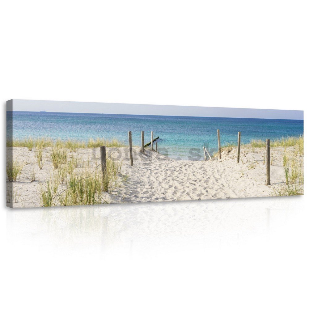 Obraz na plátne: Cesta na pláž (3) - 145x45 cm