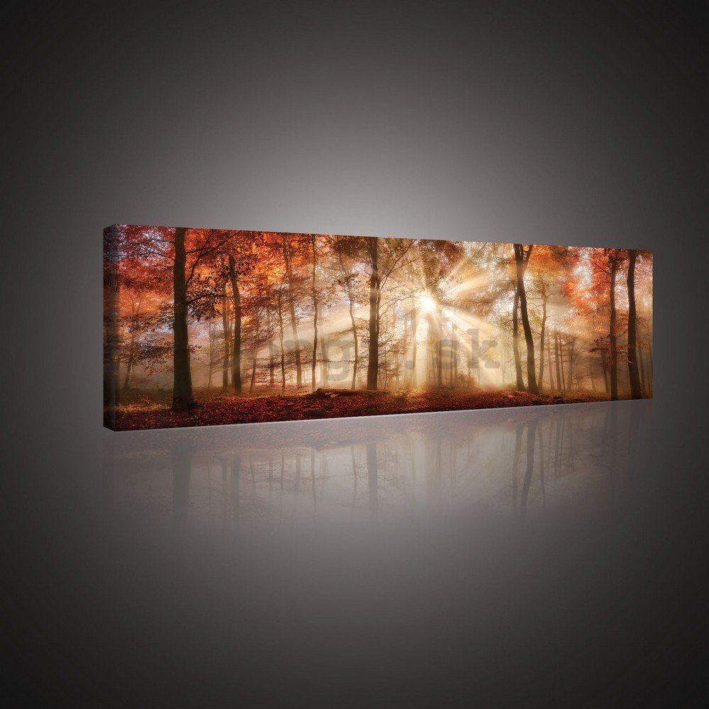Obraz na plátne: Lesné svitanie - 145x45 cm