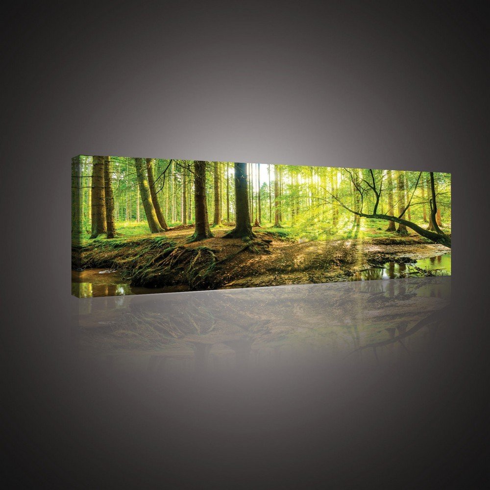 Obraz na plátne: Lužný les - 145x45 cm