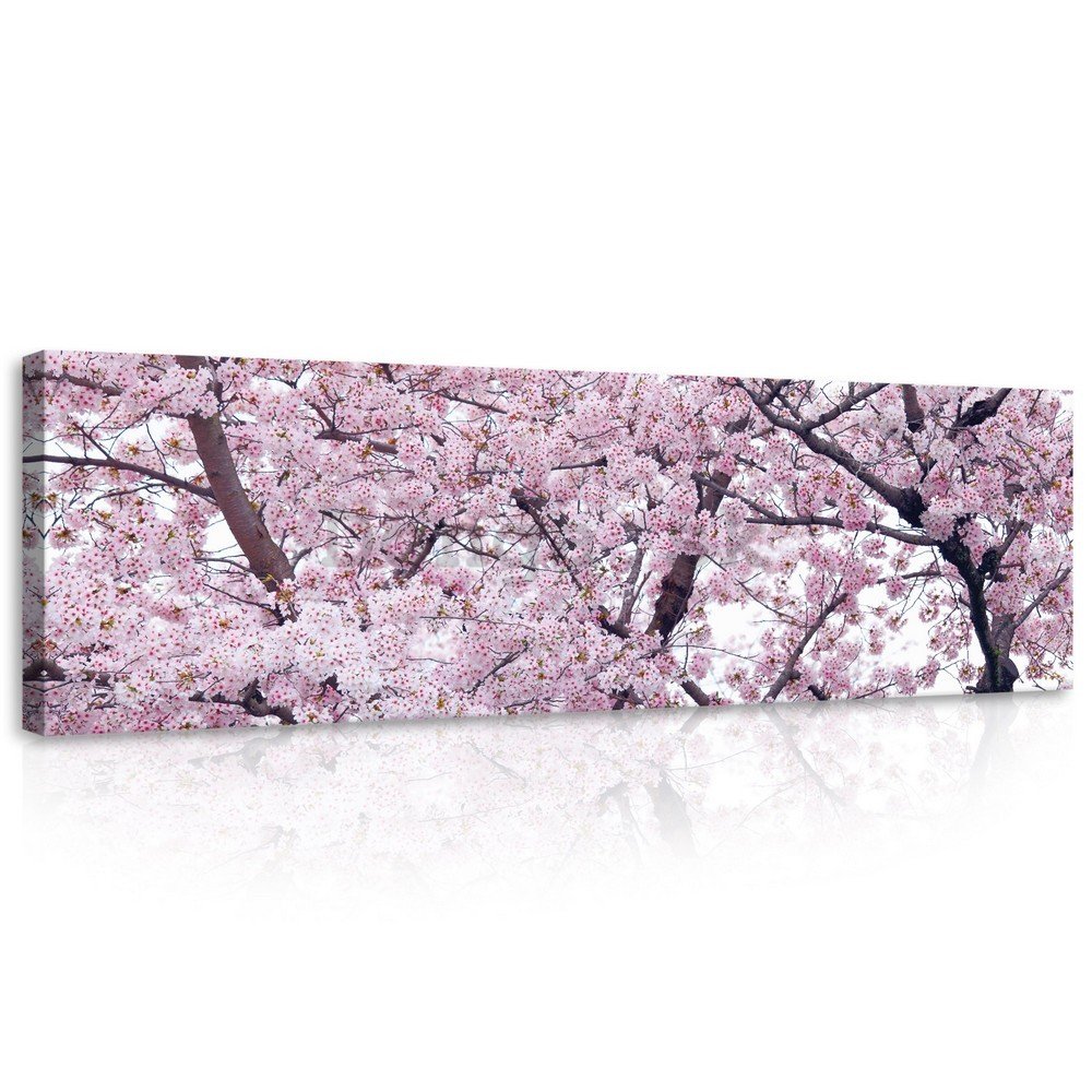 Obraz na plátne: Kvitnúce čerešňa (1) - 145x45 cm