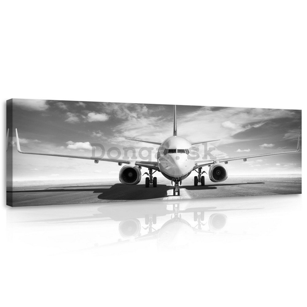 Obraz na plátne: Prúdové lietadlo (čiernobiele) - 145x45 cm