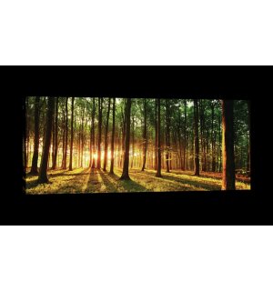 Obraz na plátne: Západ slnka v lese - 145x45 cm