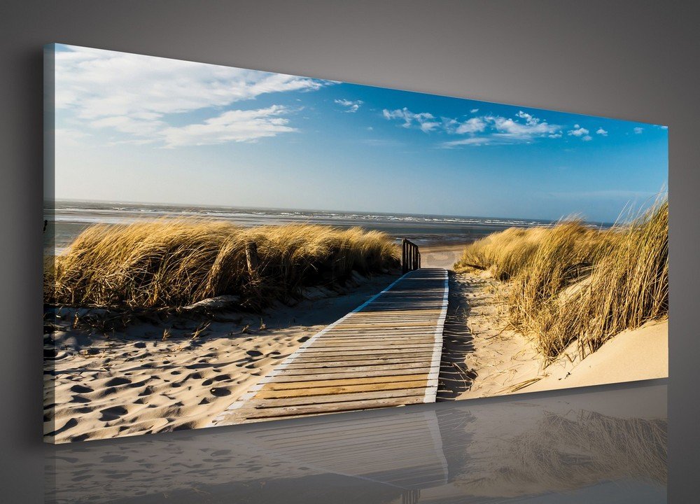 Obraz na plátne: Cesta na pláž - 145x45 cm