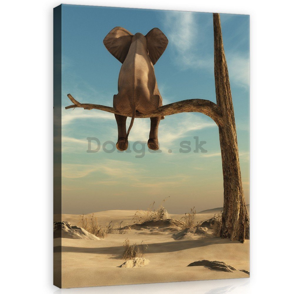 Obraz na plátne: Slon na strome - 100x75 cm