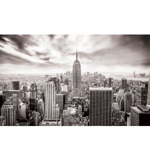 Fototapeta: Pohľad na New York (čiernobiela) - 104x152,5 cm