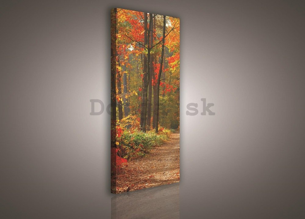 Obraz na plátne: Jesenný les - 145x45 cm